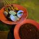 Sri Kedah Satay thumbnail